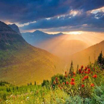 Natur pur